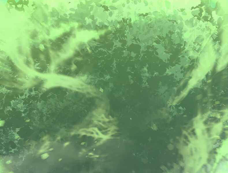 Tôi Trở Lại Thăng Cấp Một Mình - Chương 112 - Trang 195