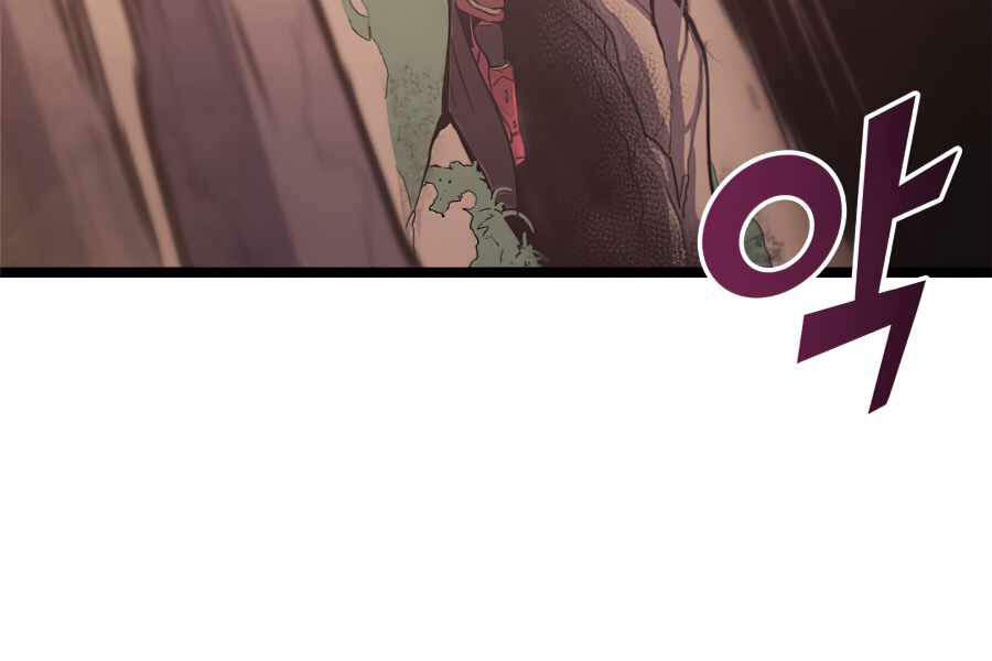 Tôi Trở Lại Thăng Cấp Một Mình - Chương 112 - Trang 250