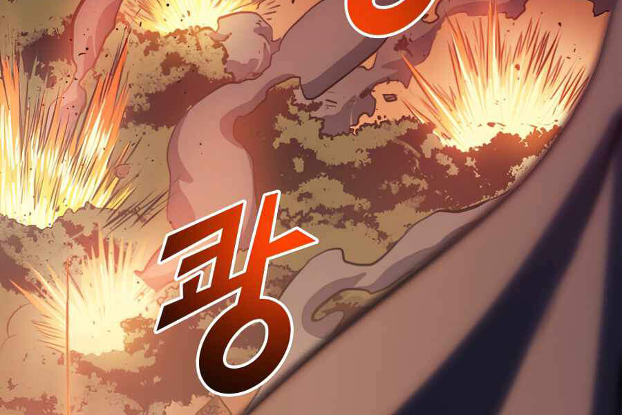 Tôi Trở Lại Thăng Cấp Một Mình - Chương 117 - Trang 212