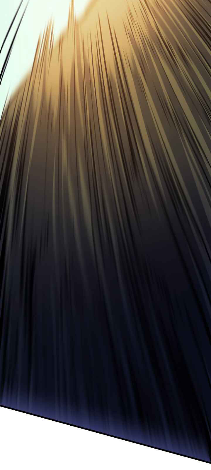 Tôi Trở Lại Thăng Cấp Một Mình - Chương 64 - Trang 25