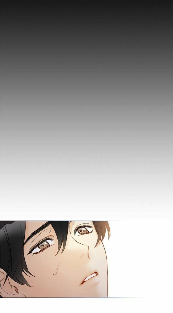 Hẹn Hò Chốn Công Sở - Chương 67 - Trang 68