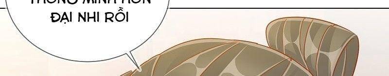 Công Lược Trưởng Thành Của Vương Phi - Chương 37 - Trang 23