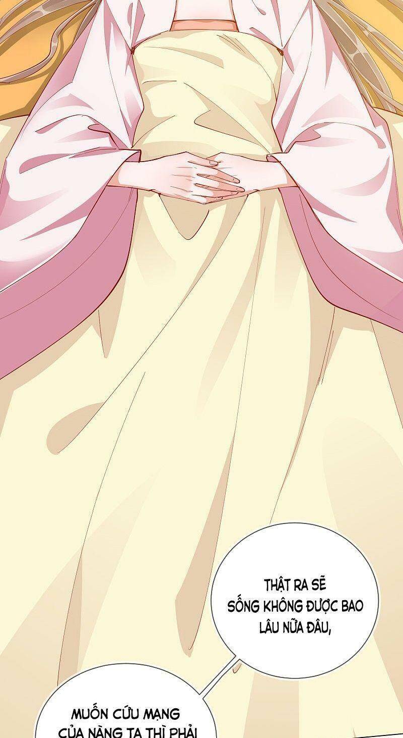 Công Lược Trưởng Thành Của Vương Phi - Chương 42 - Trang 2