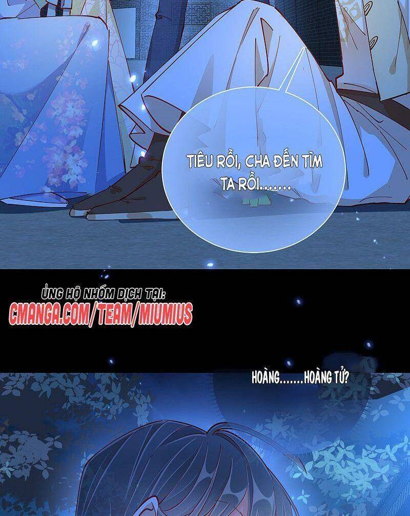 Công Lược Trưởng Thành Của Vương Phi - Chương 45 - Trang 16