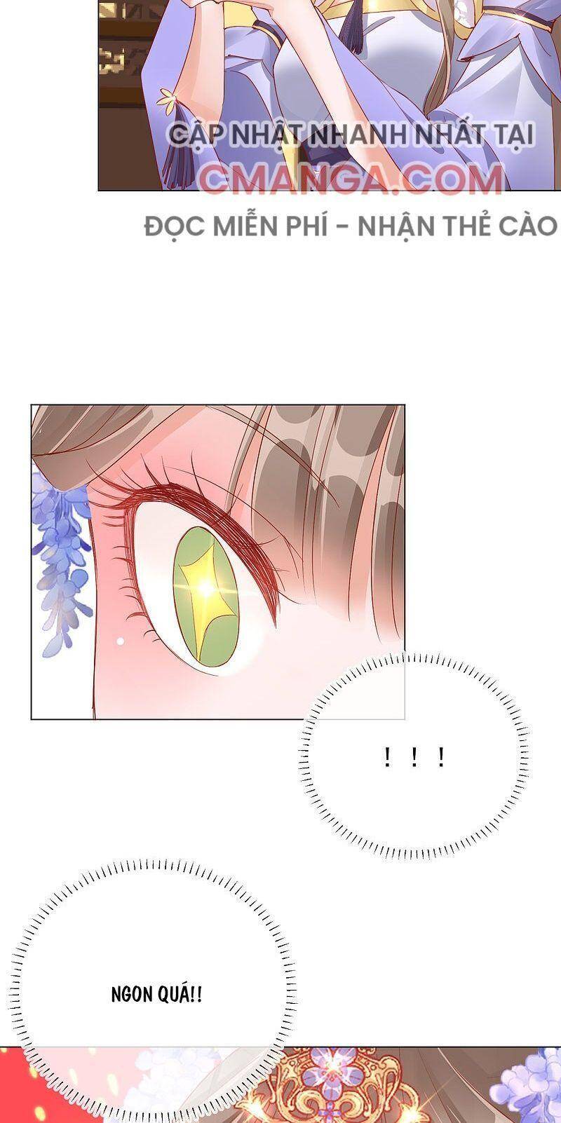 Công Lược Trưởng Thành Của Vương Phi - Chương 31 - Trang 18