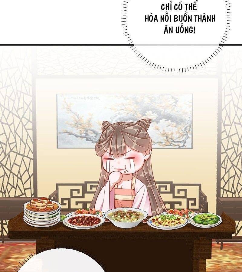 Công Lược Trưởng Thành Của Vương Phi - Chương 35 - Trang 34