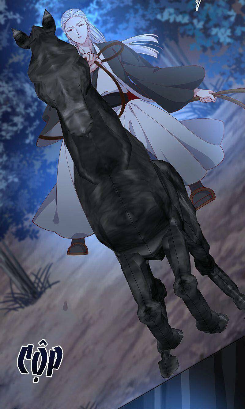 Công Lược Trưởng Thành Của Vương Phi - Chương 49 - Trang 5