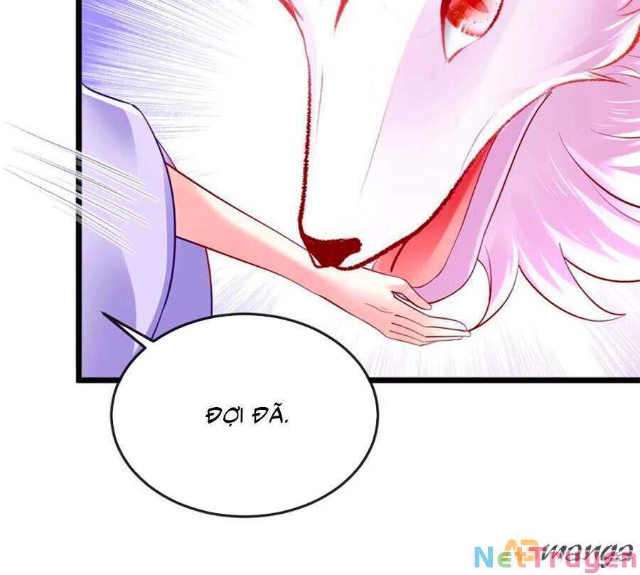 Quân Hỏa Nữ Hoàng - Chương 22 - Trang 40