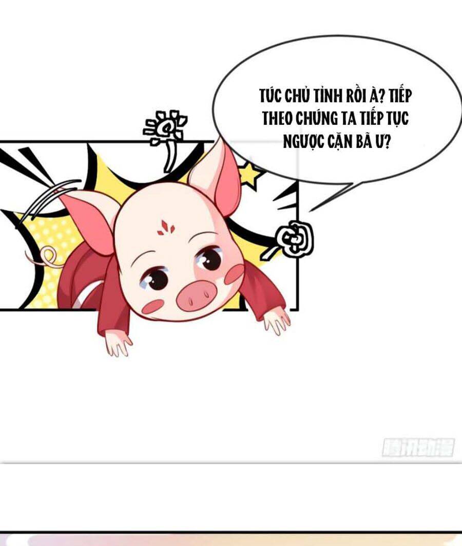 Hệ Thống Xuyên Không Hỏa Tốc: Lão Đại Phản Diện Không Dễ Chọc - Chương 4 - Trang 13