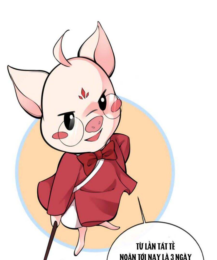 Hệ Thống Xuyên Không Hỏa Tốc: Lão Đại Phản Diện Không Dễ Chọc - Chương 4 - Trang 3