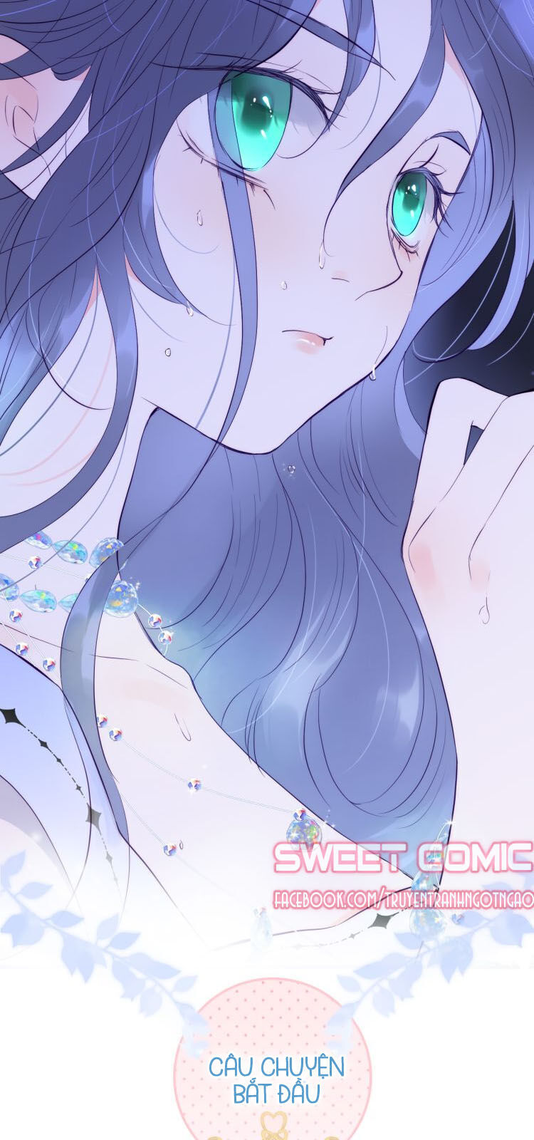 Chạy Trốn Cùng Con Nhím - Chương 1 - Trang 11