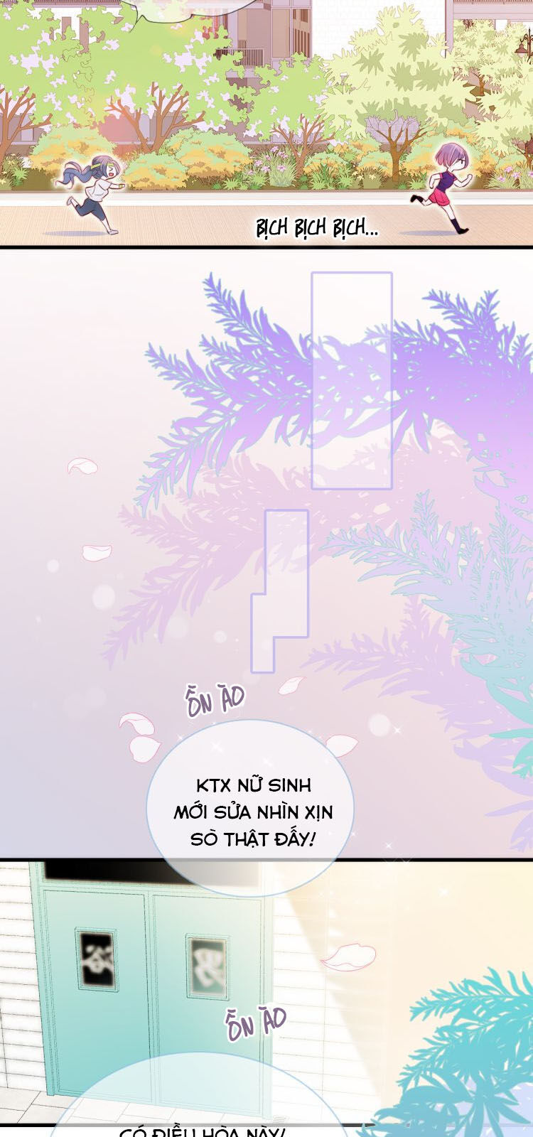 Chạy Trốn Cùng Con Nhím - Chương 2 - Trang 36