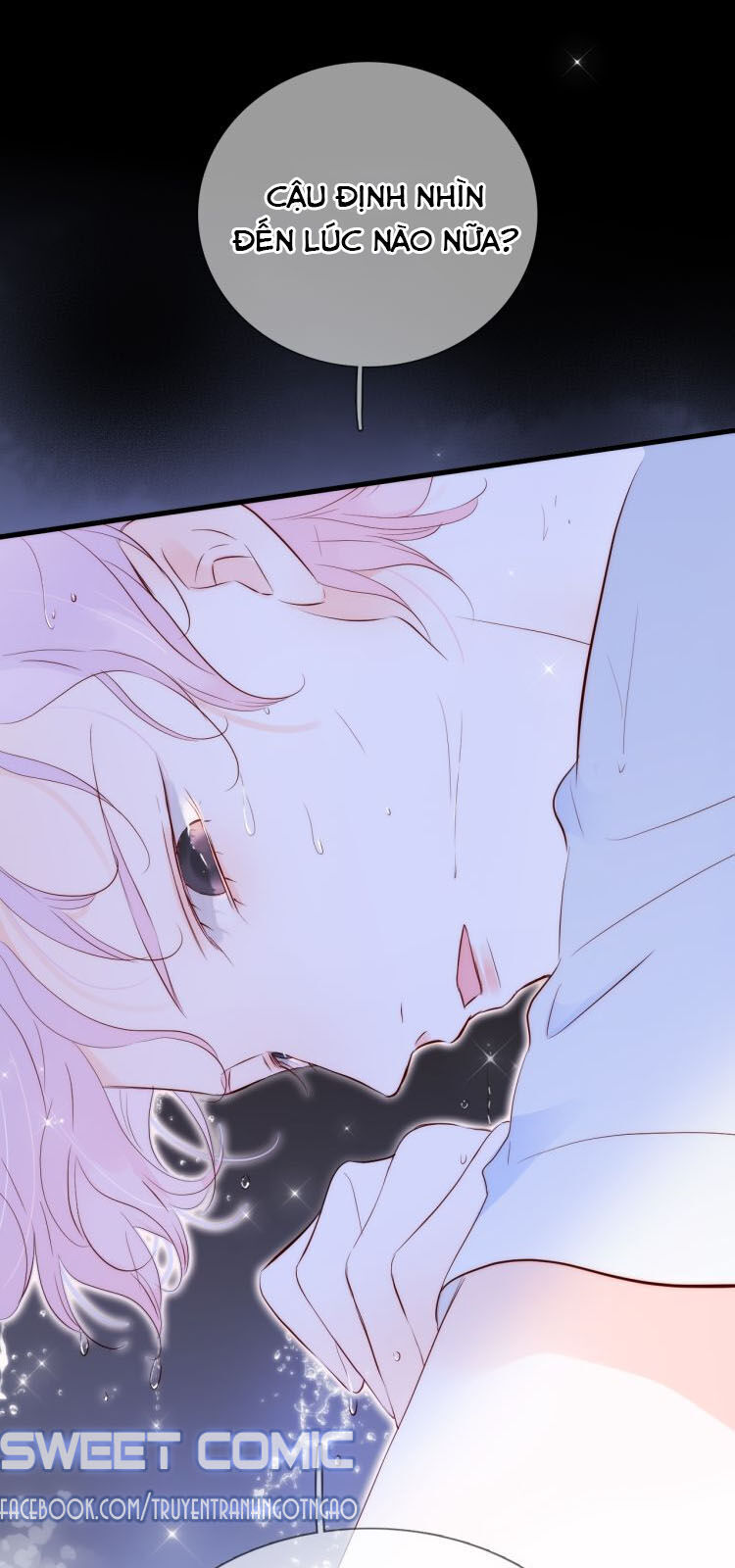 Chạy Trốn Cùng Con Nhím - Chương 4 - Trang 2