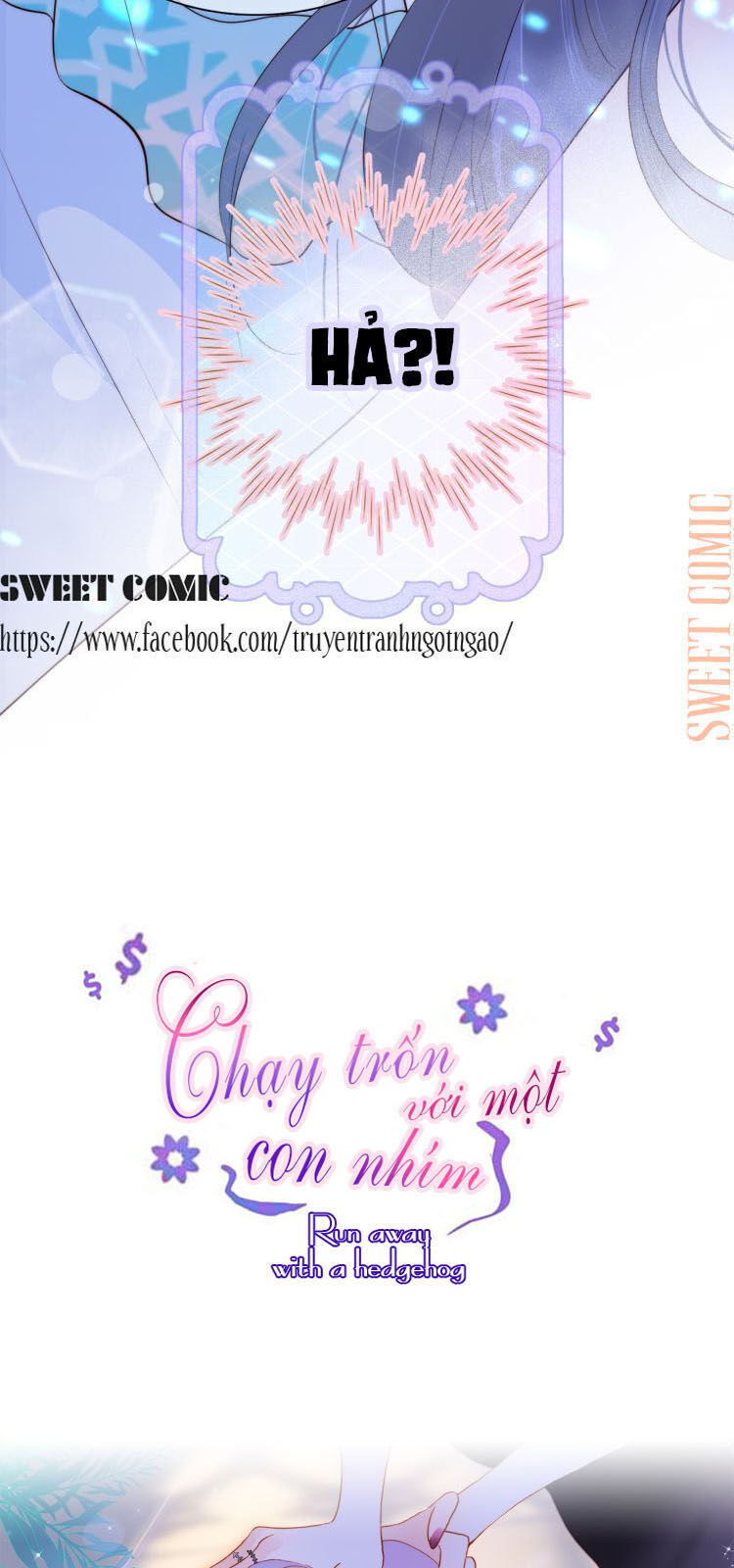 Chạy Trốn Cùng Con Nhím - Chương 6 - Trang 6