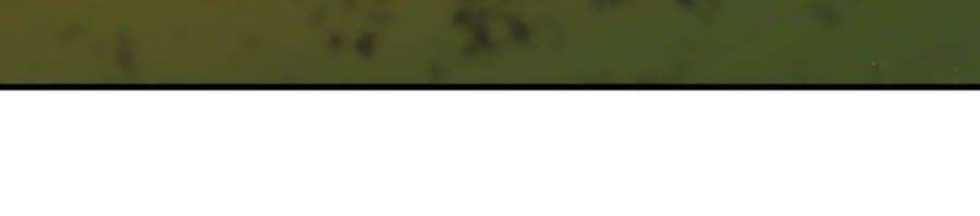 Ác Ma Thân Yêu - Chương 3.1 - Trang 3