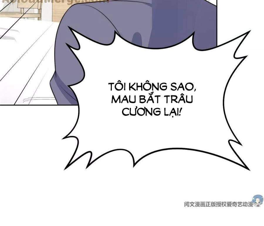 Dựa Vào Đại Lão Ổn Định Vị Trí C Trong Nam Đoàn - Chương 66 - Trang 25