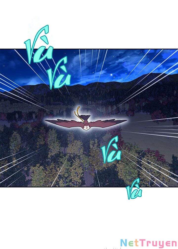 Công Chúa Của Loài Chim - Chương 38.1 - Trang 13