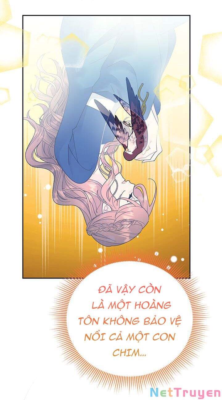 Công Chúa Của Loài Chim - Chương 38.1 - Trang 15