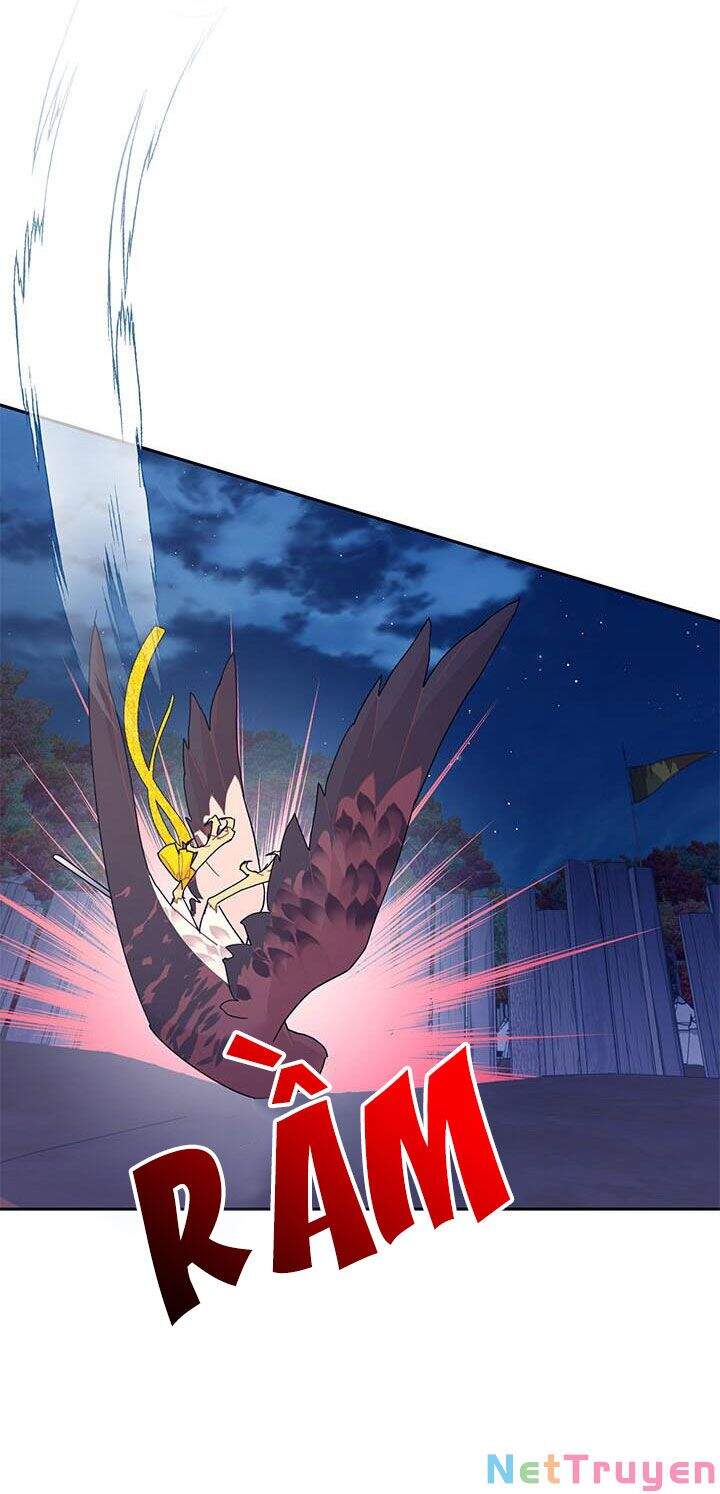 Công Chúa Của Loài Chim - Chương 38.1 - Trang 16