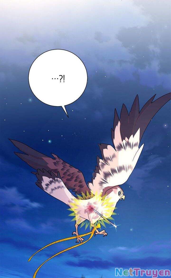 Công Chúa Của Loài Chim - Chương 38.1 - Trang 3