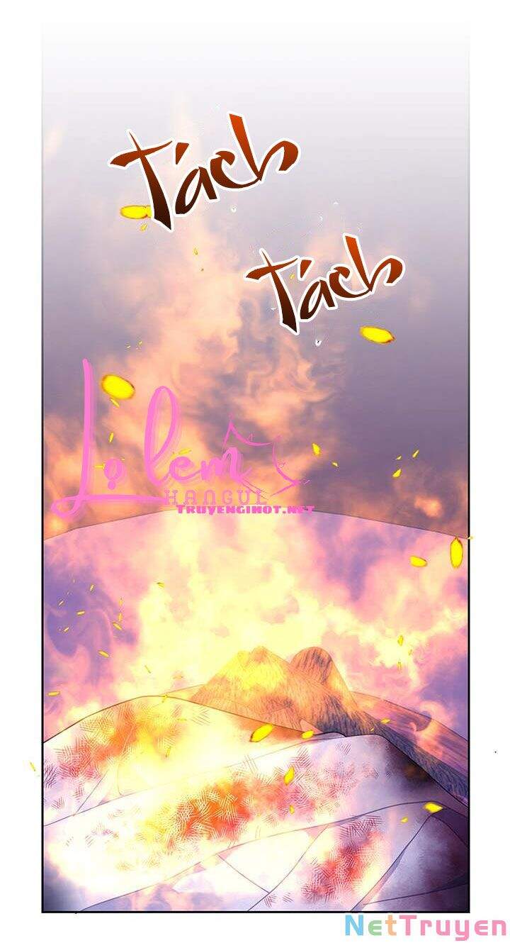 Công Chúa Của Loài Chim - Chương 38.1 - Trang 22