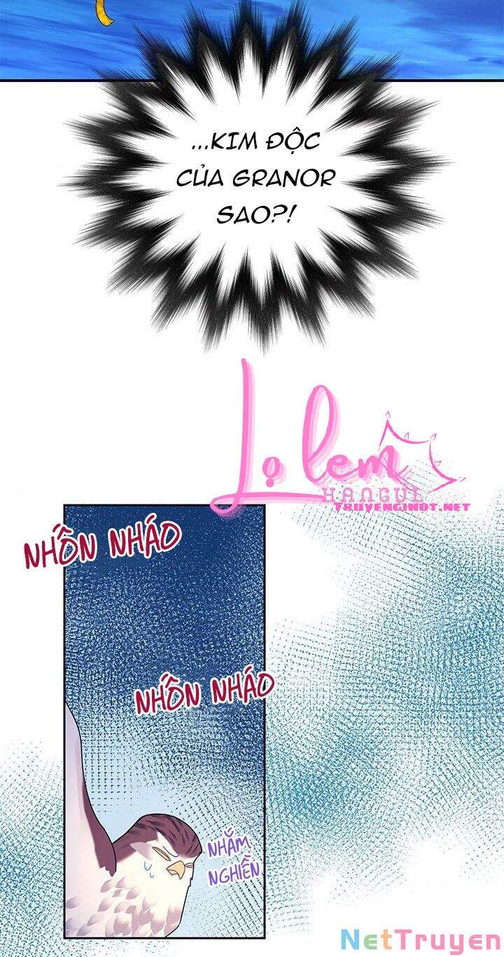 Công Chúa Của Loài Chim - Chương 38.1 - Trang 4