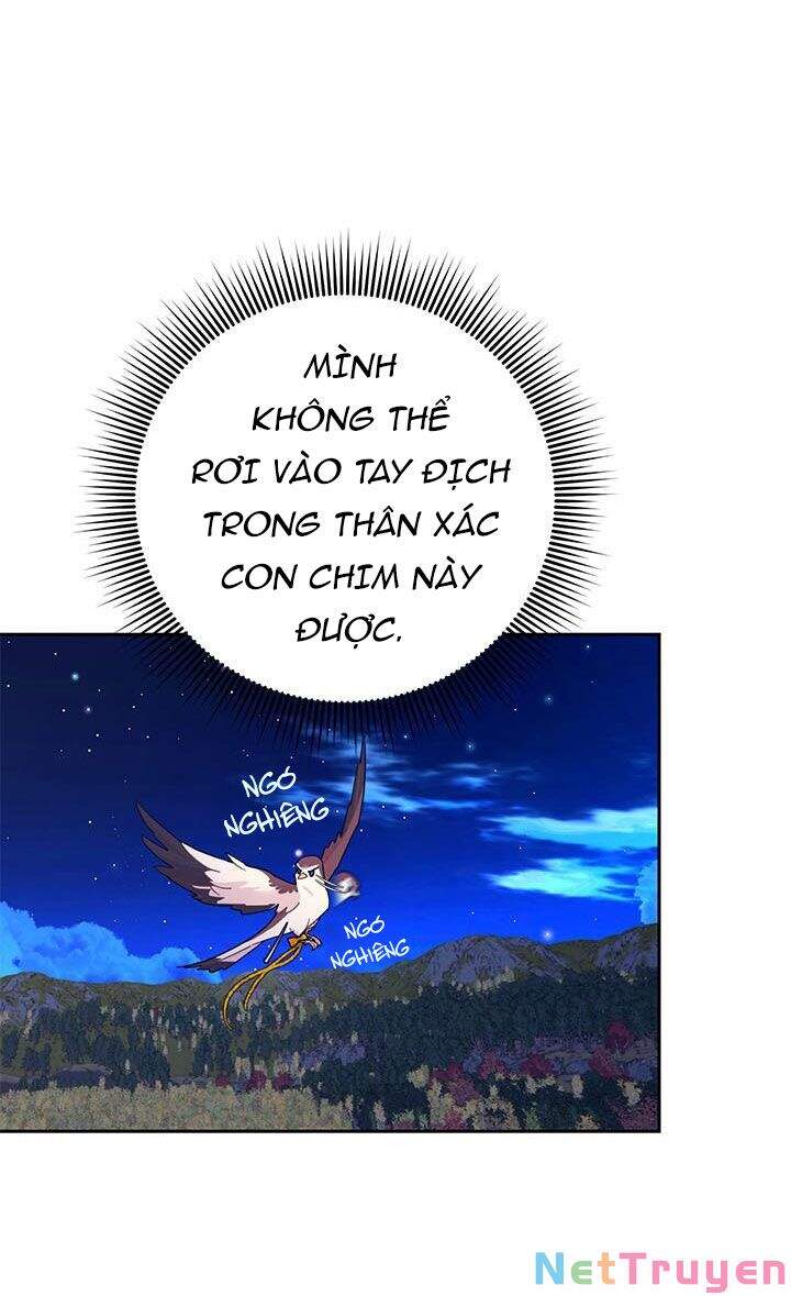 Công Chúa Của Loài Chim - Chương 38.1 - Trang 6
