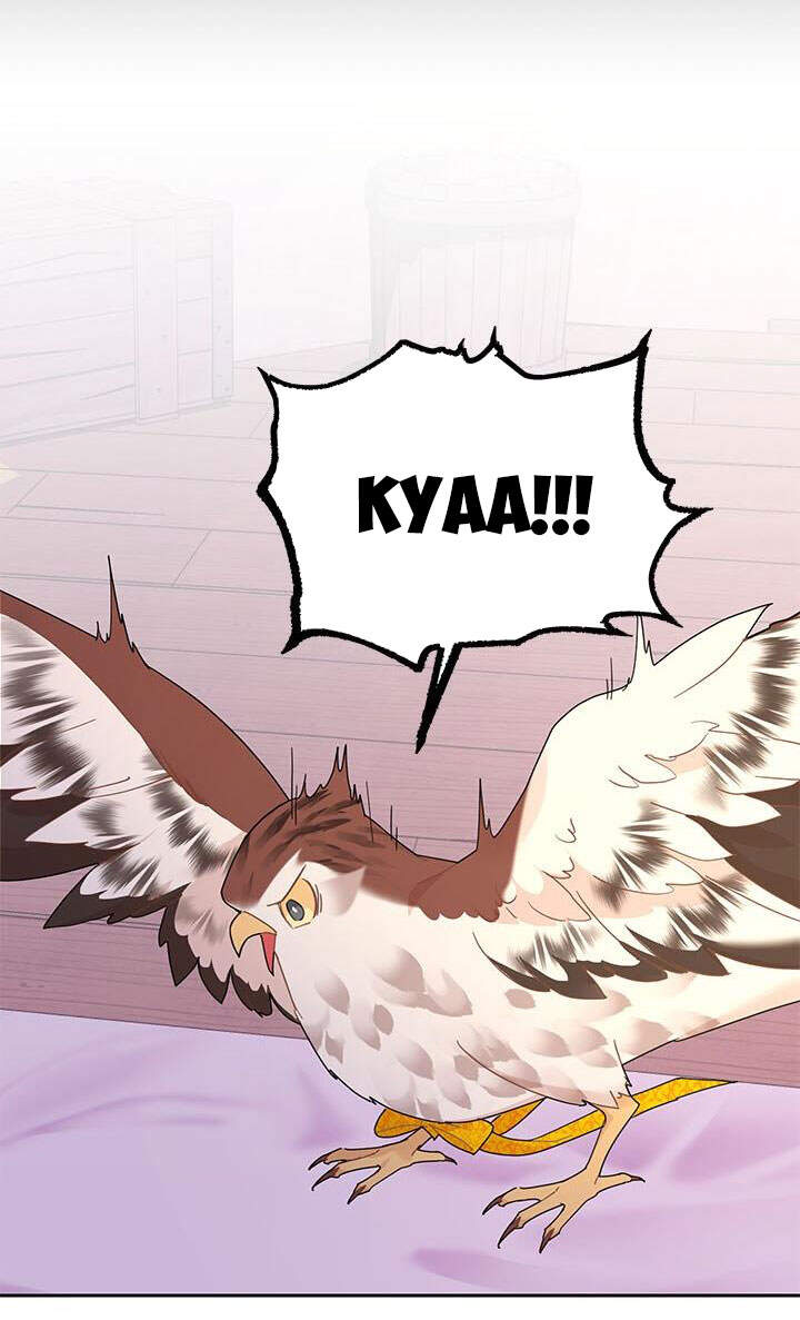 Công Chúa Của Loài Chim - Chương 37.1 - Trang 11