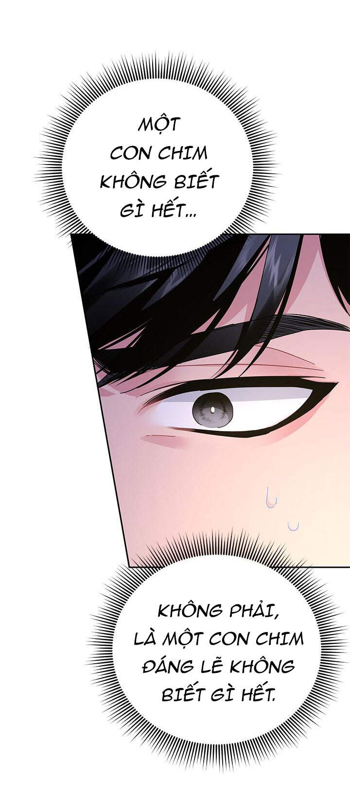 Công Chúa Của Loài Chim - Chương 37.1 - Trang 13