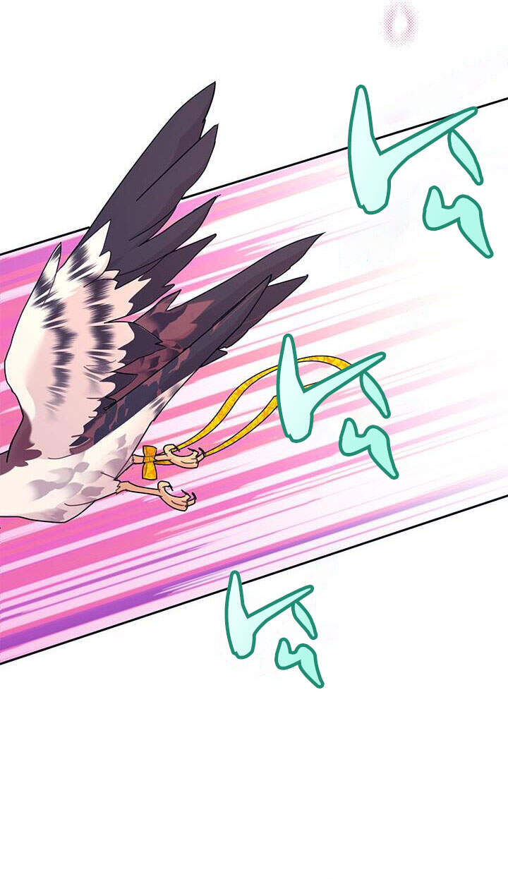 Công Chúa Của Loài Chim - Chương 37.1 - Trang 40