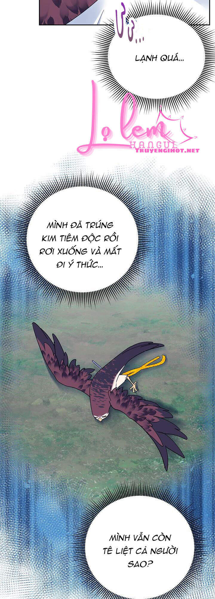 Công Chúa Của Loài Chim - Chương 39.1 - Trang 16