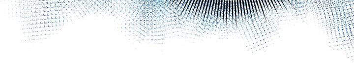 Công Chúa Của Loài Chim - Chương 39.1 - Trang 17