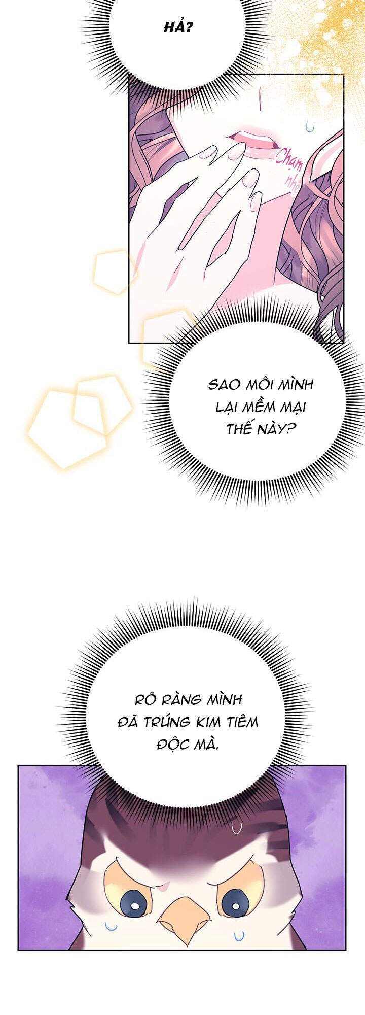 Công Chúa Của Loài Chim - Chương 39.1 - Trang 20