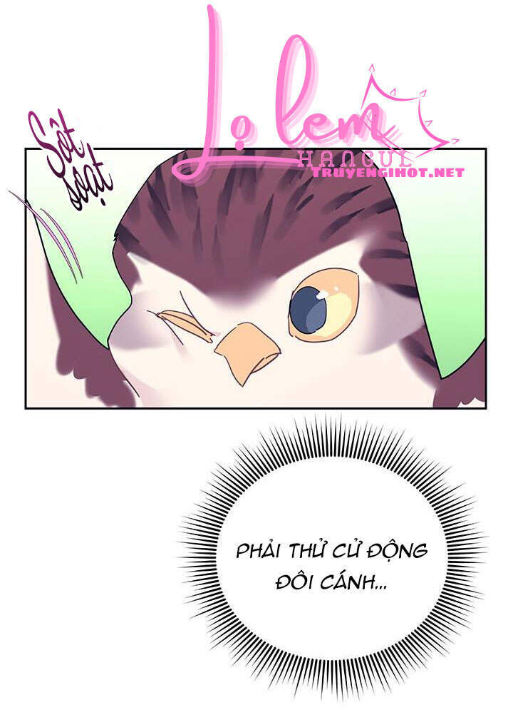 Công Chúa Của Loài Chim - Chương 39.1 - Trang 21