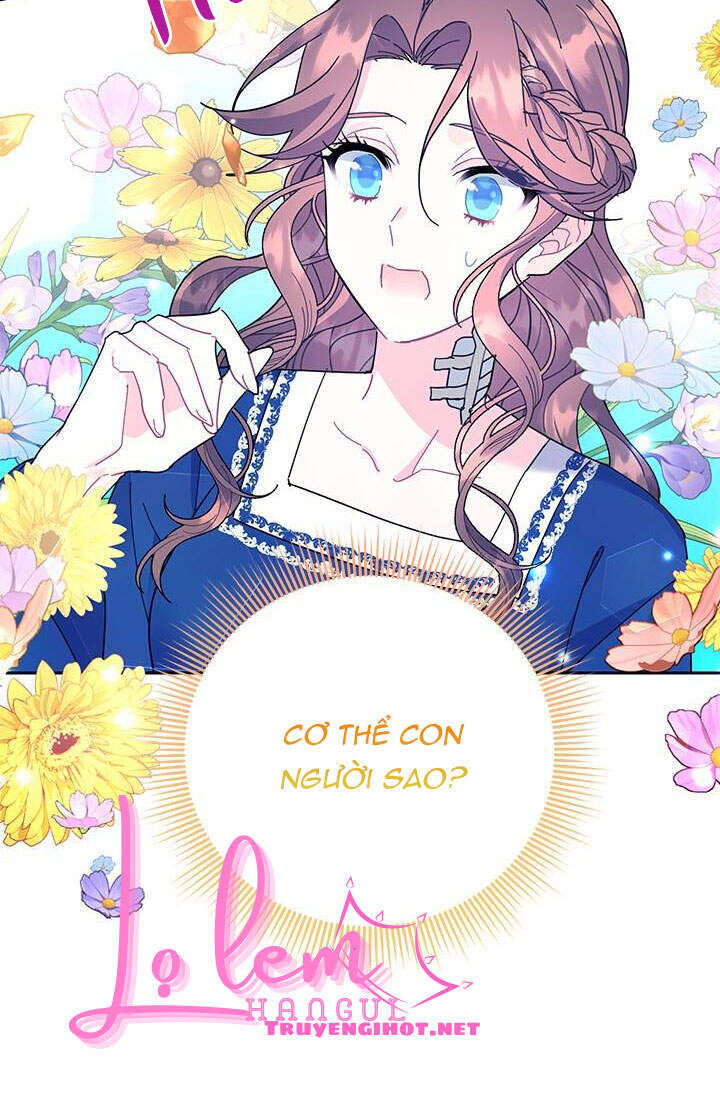 Công Chúa Của Loài Chim - Chương 39.1 - Trang 23