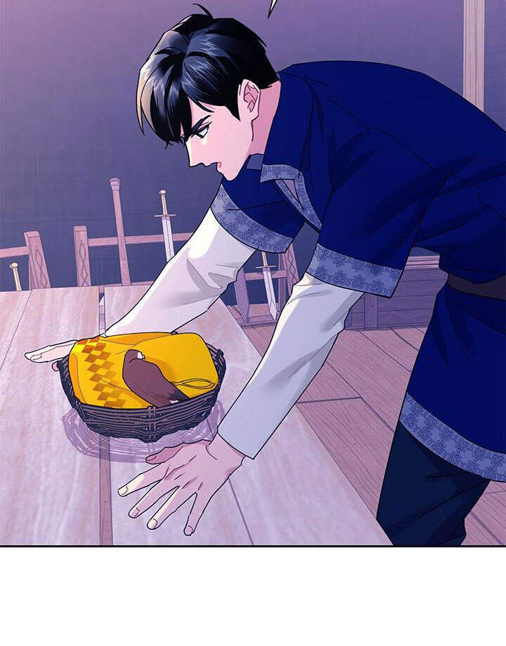 Công Chúa Của Loài Chim - Chương 39.1 - Trang 7