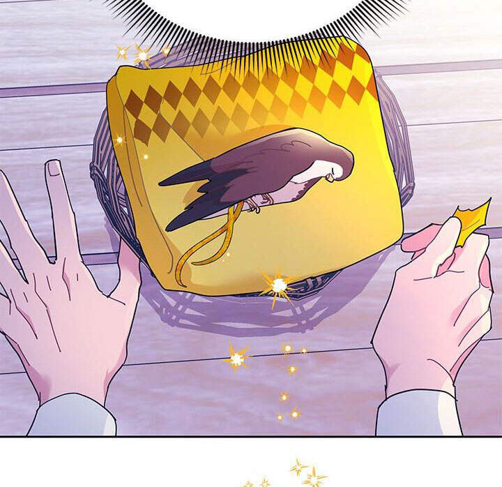 Công Chúa Của Loài Chim - Chương 39.1 - Trang 9