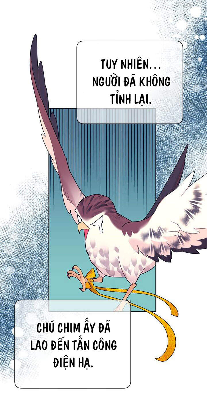 Công Chúa Của Loài Chim - Chương 40.1 - Trang 19