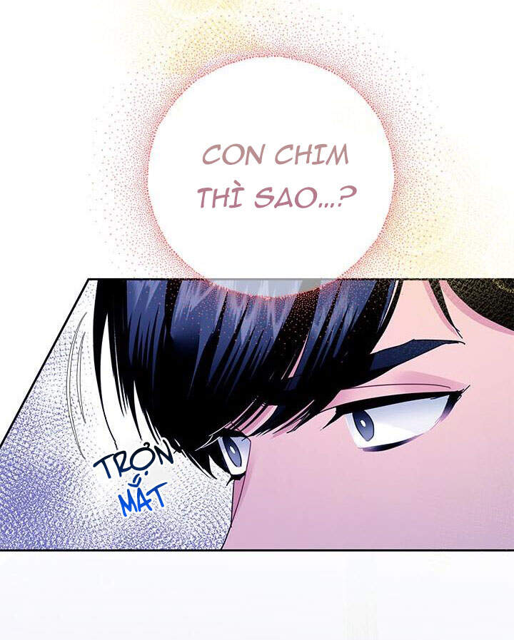 Công Chúa Của Loài Chim - Chương 40.1 - Trang 23