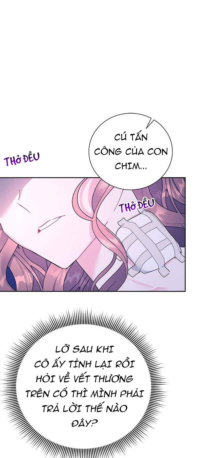 Công Chúa Của Loài Chim - Chương 40.1 - Trang 26