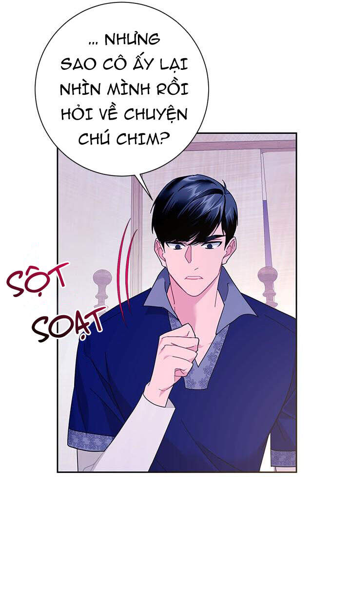 Công Chúa Của Loài Chim - Chương 40.1 - Trang 35