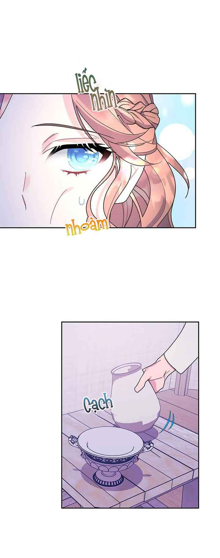 Công Chúa Của Loài Chim - Chương 41.1 - Trang 28