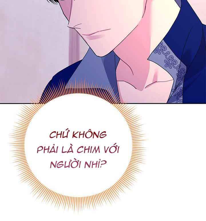 Công Chúa Của Loài Chim - Chương 41.1 - Trang 30