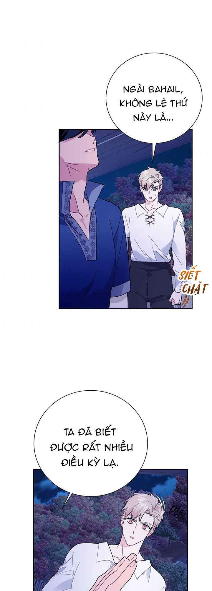 Công Chúa Của Loài Chim - Chương 41.1 - Trang 4