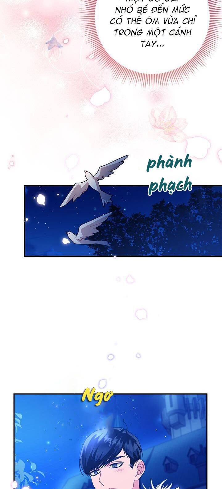 Công Chúa Của Loài Chim - Chương 47 - Trang 39