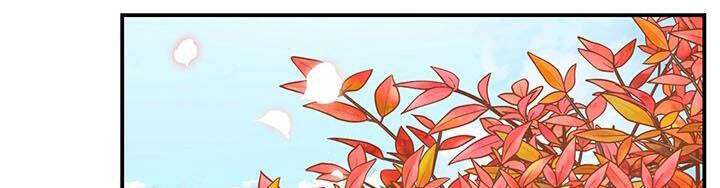 Công Chúa Của Loài Chim - Chương 49.1 - Trang 13