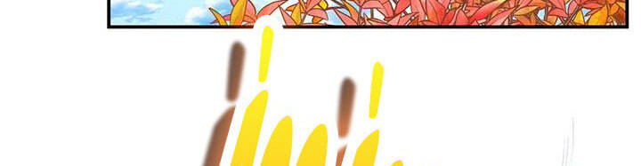 Công Chúa Của Loài Chim - Chương 49.1 - Trang 14