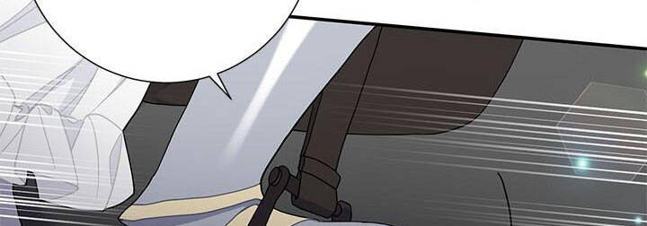 Công Chúa Của Loài Chim - Chương 49.1 - Trang 147