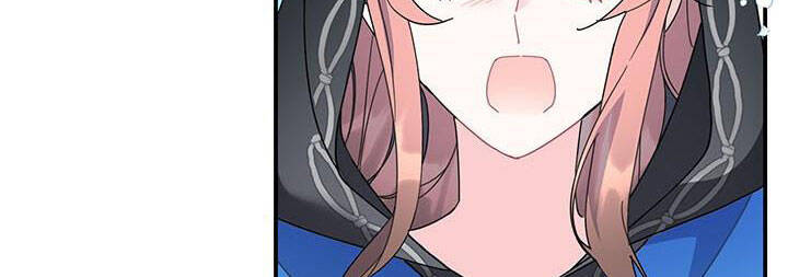 Công Chúa Của Loài Chim - Chương 49.1 - Trang 167