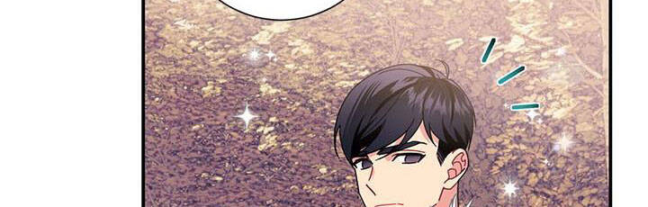 Công Chúa Của Loài Chim - Chương 49.1 - Trang 238